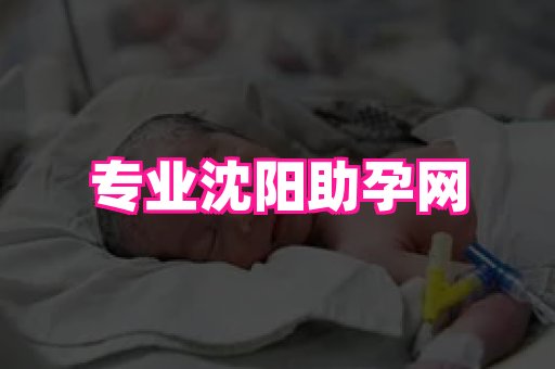 gfg孕网 1
