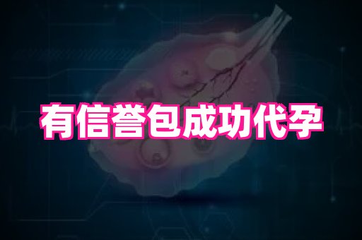 gfg孕网 2