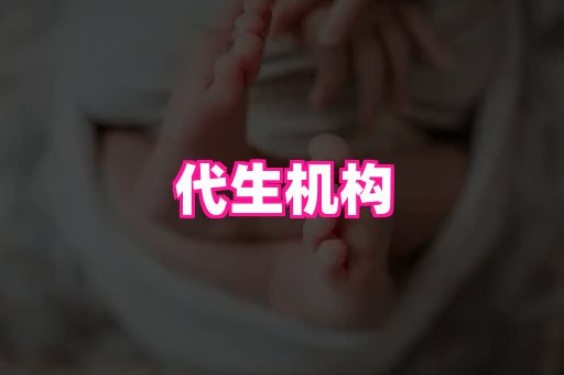 gfg孕网 3